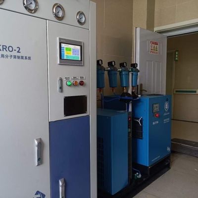 380V स्टेनलेस स्टील 40 जीपी कंटेनर छोटे ऑनसाइट पीएसए आधारित ऑक्सीजन संयंत्र